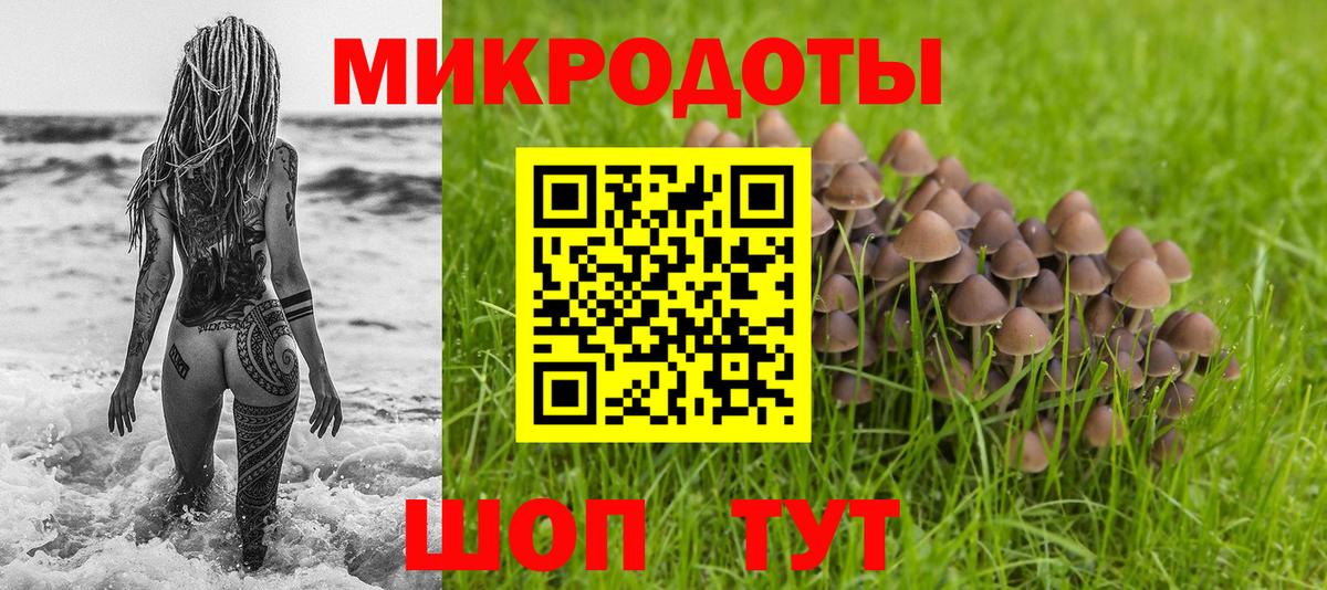 Псилоцибиновые грибы прущие грибы Благовещенск