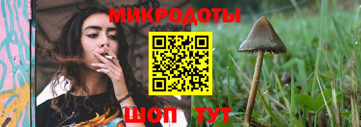 Благовещенск  Псилоцибиновые грибы Cubensis  Вход с VPN  Галлюциногенные грибы GOLDEN TEACHER 
