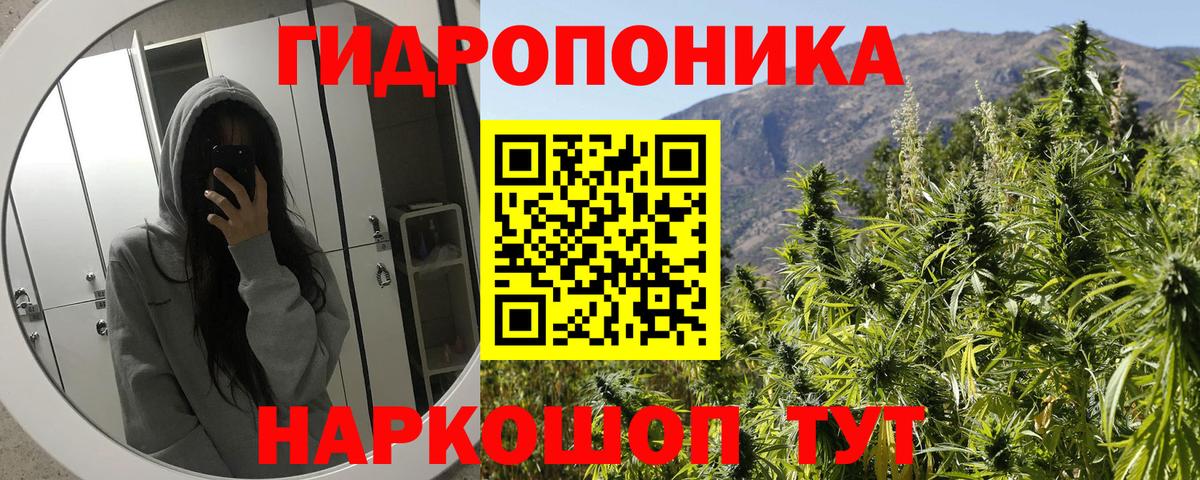 Шишки марихуана планчик  Вход с VPN  Благовещенск  Бошки Шишки гибрид  МАРИХУАНА White Widow 